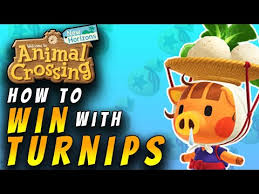 Joan - Animal Crossing Wiki - Nookipedia