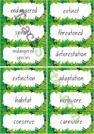 endangered animals word wall vocabulary rainforest