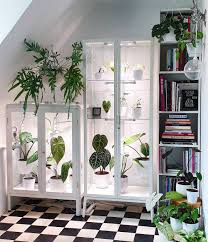 This is a quick tutorial/walkthrough on how i set up my ikea milsbo greenhouse cabinet! One Of The More Genius Uses Of Ikea S Fabrikor Cabinet Is Completely Hacking The Cabinet Into An Indoo Plant Decor Indoor Indoor Greenhouse Plant Display Ideas