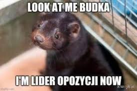 Przesunęliśmy posiedzenie sejmu, by nie został zakładnikiem opozycji. Memy Pis Artykuly Nasze Miasto
