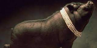  Babi Ngepet Javanese Myth A Pig Monster That Is The Manifestation Of A Person Practicing Black Magic And Wanting To Become Wealth Gambar Kartun Gambar Kartun