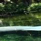 Clear Canoeing and Wildlife Sightseeing at Silver Springs