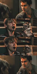 The Maze Runner Newt X Thomas Wallpaper Please Tommy Please Newt Maze Runner Maze Runner Movie Maze Runner Imagines