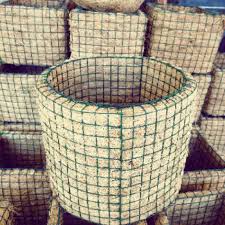 Cara buat pot bunga dari sabut kelapa. Pot Jaring Pot Sabut Kelapa Pot Tempel Pot Anggrek Media Tanam Pot Bulat Pot Media Tanaman Pot Shopee Indonesia