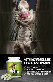 Bully Max Muscle Builder For Dogs Pack On 8 Lbs Of Muscle In Under 30 Days Vet Approved For All Breeds Of Dogs Ages 7 Weeks And Bully Max Bully Dog Bullying