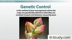 This means removing weak plants, building up a nutrient rich soil, using clean mulch, clearing debris and weeds, practicing good crop rotation, keeping foliage dry during the. Alternative Pest Control Methods For Agricultural Use Video Lesson Transcript Study Com