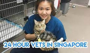 They called yesterday to switch my appointment less than 24 hours. 11 24 Hour Vets In Singapore Sorted By Location To Bookmark For Emergencies At 3am