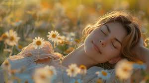 Free Sunlit daisy field Image