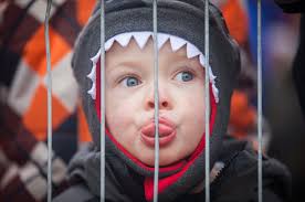 Photos of the Month Contest: November 2014 Results