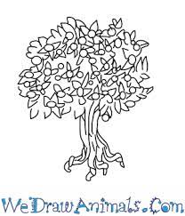 Posted in texas and rodeo , standard format and tagged bluebonnet coloring sheet , cowboy art , houston , mockingbird coloring sheet , nasa coloring sheet , pecan tree coloring sheet , rodeo , texas , texas flag coloring sheet on march 5, 2012 by andrea darcy. How To Draw A Pecan Tree