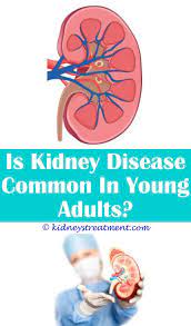 Pin On What Is Kidney Disease