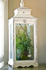 The Given Life The Cheater S Terrarium Plant Decor Indoor Spring Decor Lanterns Decor