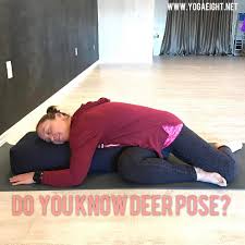 For Therapeuticthursday We Are Highlighting A Yinyoga Pose Called Deer Pose Angela Is Demonstrating A Modified Deer Usin Pigeon Pose Hip Openers Lotus Pose