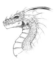 Open it and get the information inside. Realistic Dragon Head Coloring Pages Novocom Top