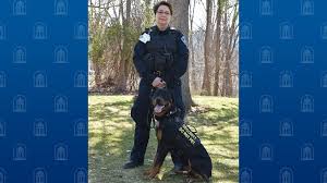 Meet Remi, Bassett's Latest Addition to Its Expanding K-9 Security Force