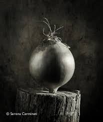 Black And White Still Life Photography Foodfulife Still Life Photography Black And White Still Life