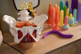 Flora Physical Therapy