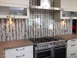 Good Idea With A Different Wallpaper Plexiglass Back Splash With Wallpaper Behind Backsplash Wallpaper Trendy Kitchen Backsplash Classy Kitchen