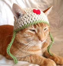 All Cats Should Have A Hat If Youve Found Yourself Here Then Obviously Not Only Are You A Cat Crochet Cat Hat Cat Hat Pattern Crochet Dog Hat