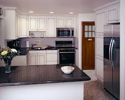 Kitchens with dramatic black cabinets. Modern Kitchen Designs With Black Appliances
