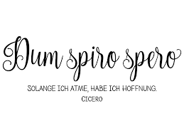 It's also south carolina's state motto. Wandtattoo Dum Spiro Spero Zitat Klebeheld De