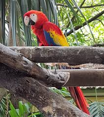If you're looking to combine a visit to the rosario islands with a booze cruise. The Port Of Cartagena De Indias What A Surprise Sandals Over Snowshoes