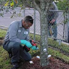 Pest management solutions for your home or business. Abc Pest Control 11 Photos 10 Reviews Nurseries Gardening 13275 66th St N Largo Fl Phone Number Yelp