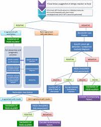 Flow Chart For The Diagnosis Of Food Allergy Download