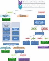 flow chart for the diagnosis of food allergy download