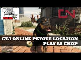 How does trevor turn into an animal in gta 5? How To Turn Into A Dog And Other Animals In Gta 5