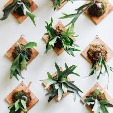 4 farklı duvar süsü yapımı i ev dekorasyon fikirleri idıy. Dekoratif Duvar Susleri Modelleri Yapimi 2021 Decombo