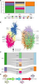 Cpc is an acronym, abbreviation or slang word that is explained above where the cpc definition is given. Expansion Of Known Ssrna Phage Genomes From Tens To Over A Thousand Science Advances