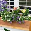 Sturdy planter long window box plastic pot broad base flower plant outdoorgarden. 1