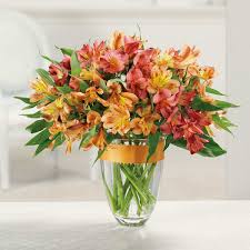 Andrews flowers, corpus christi, nueces county, texas, united states — location on the map, phone, opening hours, reviews. Awesome Alstroemeria In Corpus Christi Tx Andrews Flowers