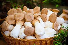 comment preparer les champignons champignon alimentation recettes de cuisine