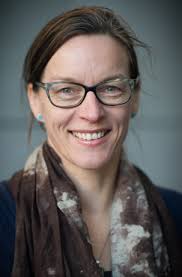 A technical system for assessing good ecological condition