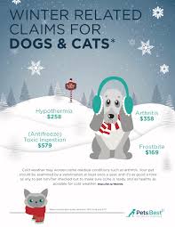 5 Common Winter Illnesses For Pets Life Lanes Find & download free graphic resources for winter. 5 common winter illnesses for pets