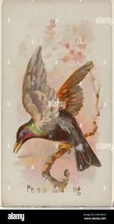 3 persian wheel or noria hi-res stock photography and images