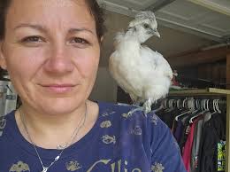 Recovery of Injured Hen and Animal Friendships