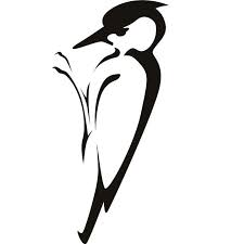 Woodpecker tattoo peckerwood drawings peckerwood prison art peckerwood clothing woody woodpecker tattoo designs peckerwood symbols 100 peckerwood tattoos featherwood tattoo. Pin By Pablo Perez Castineira On Tattoo Ideas Silhouette Stencil Animal Symbolism Bird Drawings