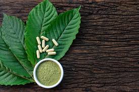 Will kratom show on a drug test. Can You Develop A Kratom Addiction Elite Home Detox