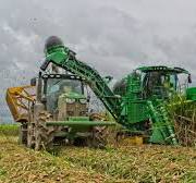 Brand New 2021 John Deere CH570 SugarCane Harvester 4K