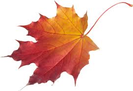 Autumn Png Leaf Autumn Leaves Leaves Leaf Images
