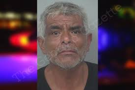 Antonio Palmas-Arellano — Gwinnett County Jail Bookings