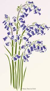 Pin On Bluebells Stencil