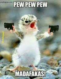 Funny Joke Of The Day Cute Animals Funny Animal Pictures Funny Animals