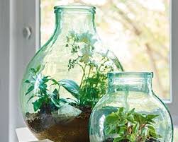 Diy 10 Terrariums De Plantes A Realiser Faire Un Terrarium Terrarium Orchidees Plante