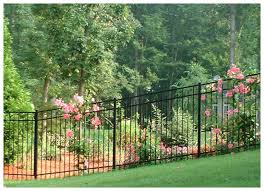 Find out which is the best the antenna can get caught on fences, bushes, or trees. The Best Plants For Your Aluminum Fence