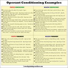 Operant Conditioning Using Positive Vs Negative Dog