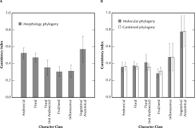 Image result for Stanfieldiella imperforata